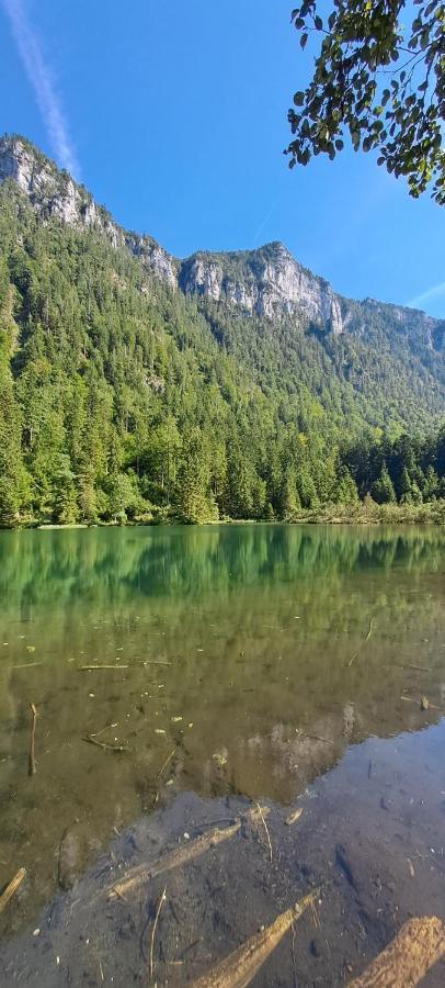 Laerche 2 - Chiemgaukarte Inklusive- Inzell Exterior foto
