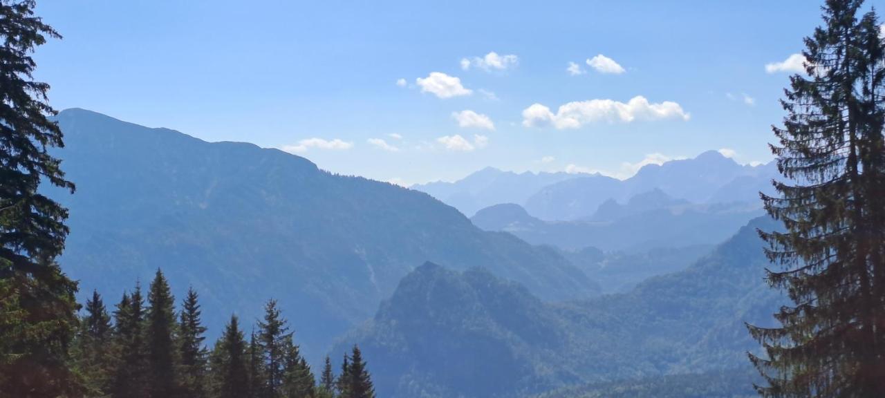 Laerche 2 - Chiemgaukarte Inklusive- Inzell Exterior foto